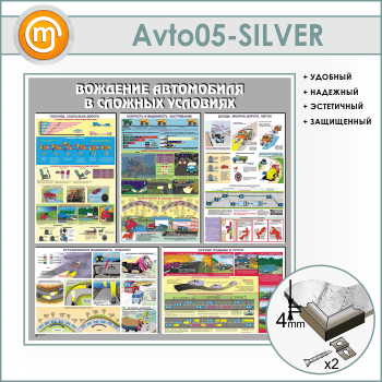 ����� ��������� ���������� � ������� ��������� (AV-05-SILVER)
