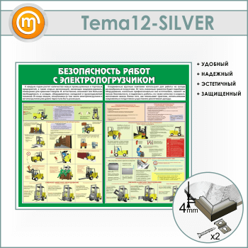 ����� ������������� ����� � ������������������ (TM-12-SILVER)