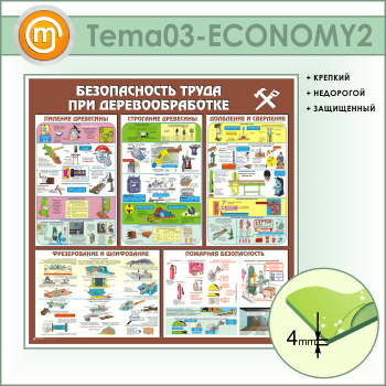 ����� ������������� ����� ��� ��������������� (TM-03-ECONOMY2)