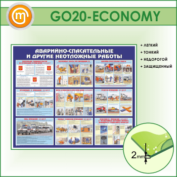 ����� ���������-������������ � ������ ���������� ������� (GO-20-ECONOMY)