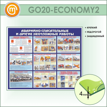 ����� ���������-������������ � ������ ���������� ������� (GO-20-ECONOMY2)