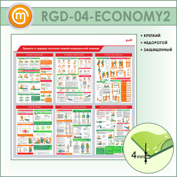 ����� �������� � ������� �������� ������ ����������� ������ (RGD-04-ECONOMY2)