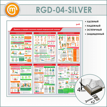 ����� �������� � ������� �������� ������ ����������� ������ (RGD-04-SILVER)