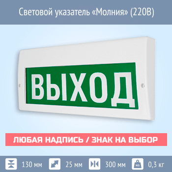 Световой указатель Молния (220В)