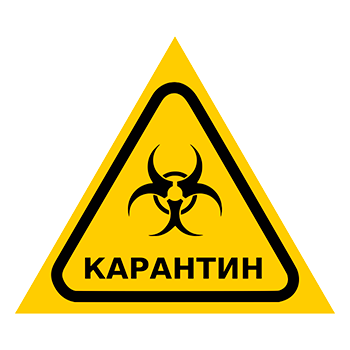 ���� ����������, Q13.6