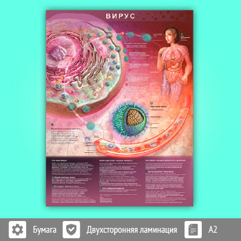 ������ ������ (�-29, �������������� ������, �2, 1 ����)