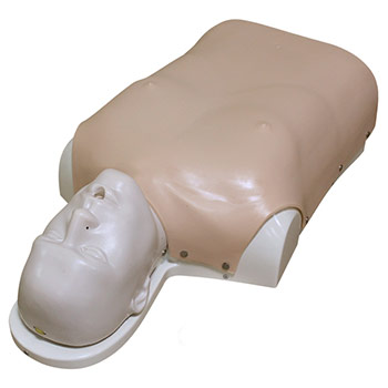 Фантом реанимационный (торс)