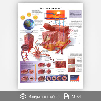 ������ ���� ����� ��� ����?� (���-20, 1 ����)