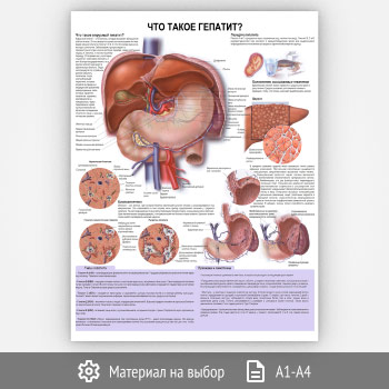 ������ ���� ����� �������?� (���-38, 1 ����)